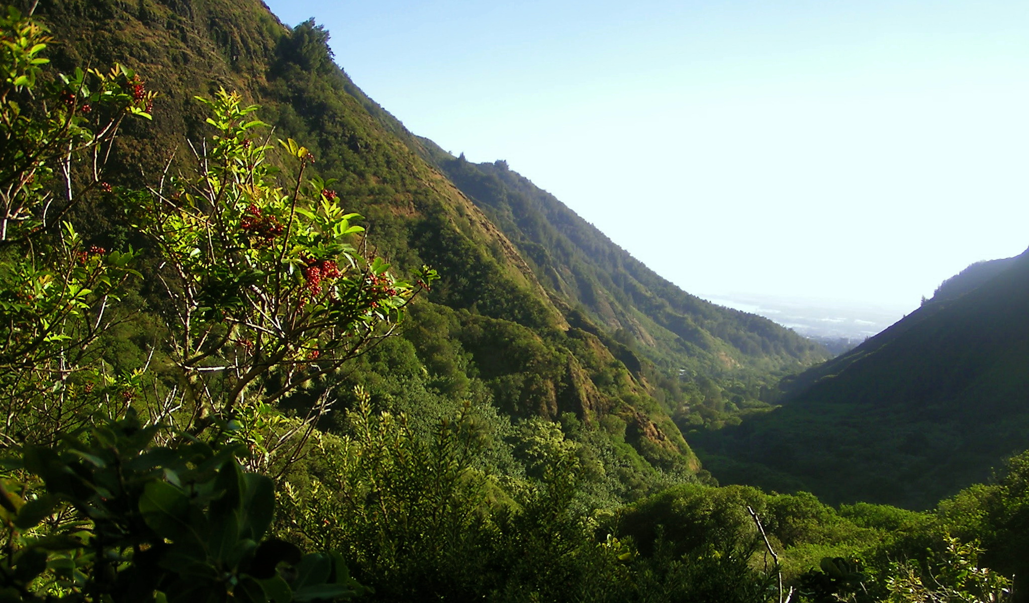 Looking towards Wailuku from Iao