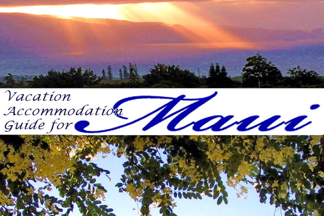 Promoting Vacation Rentals on Maui
